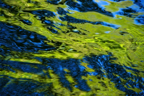 Passaic River, Union and Morris Counties, 04 10 (1854SA).jpg Passaic River, Union and Morris Counties, 04 10 (1854SA).jpg